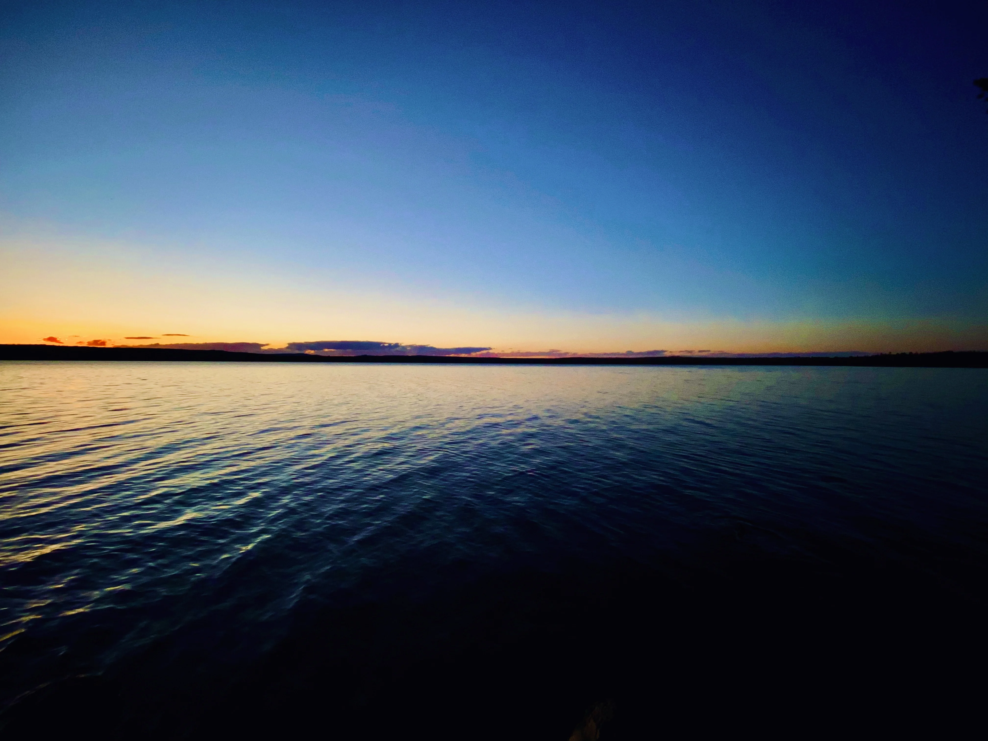 Gigi-M - Content Creator